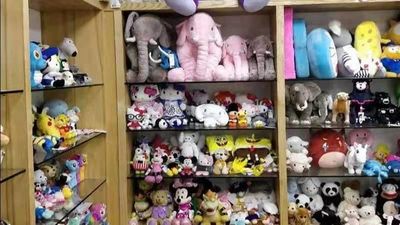 China Dongguan Yourun Toys Co., Ltd Perfil de la compañía