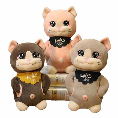 El OEM pela a Cat Plush Toy linda de los niños amistosos de los 20cm